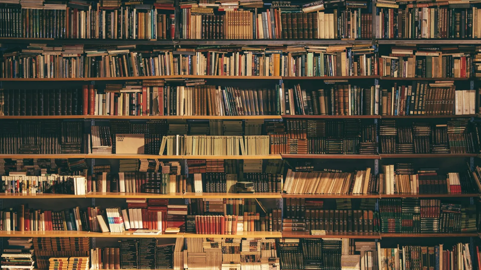 Libros y documentos en una biblioteca jurídica